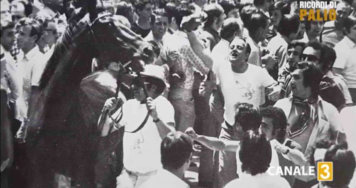 Topolone alla Tratta del Palio di Siena del 2 luglio 1972