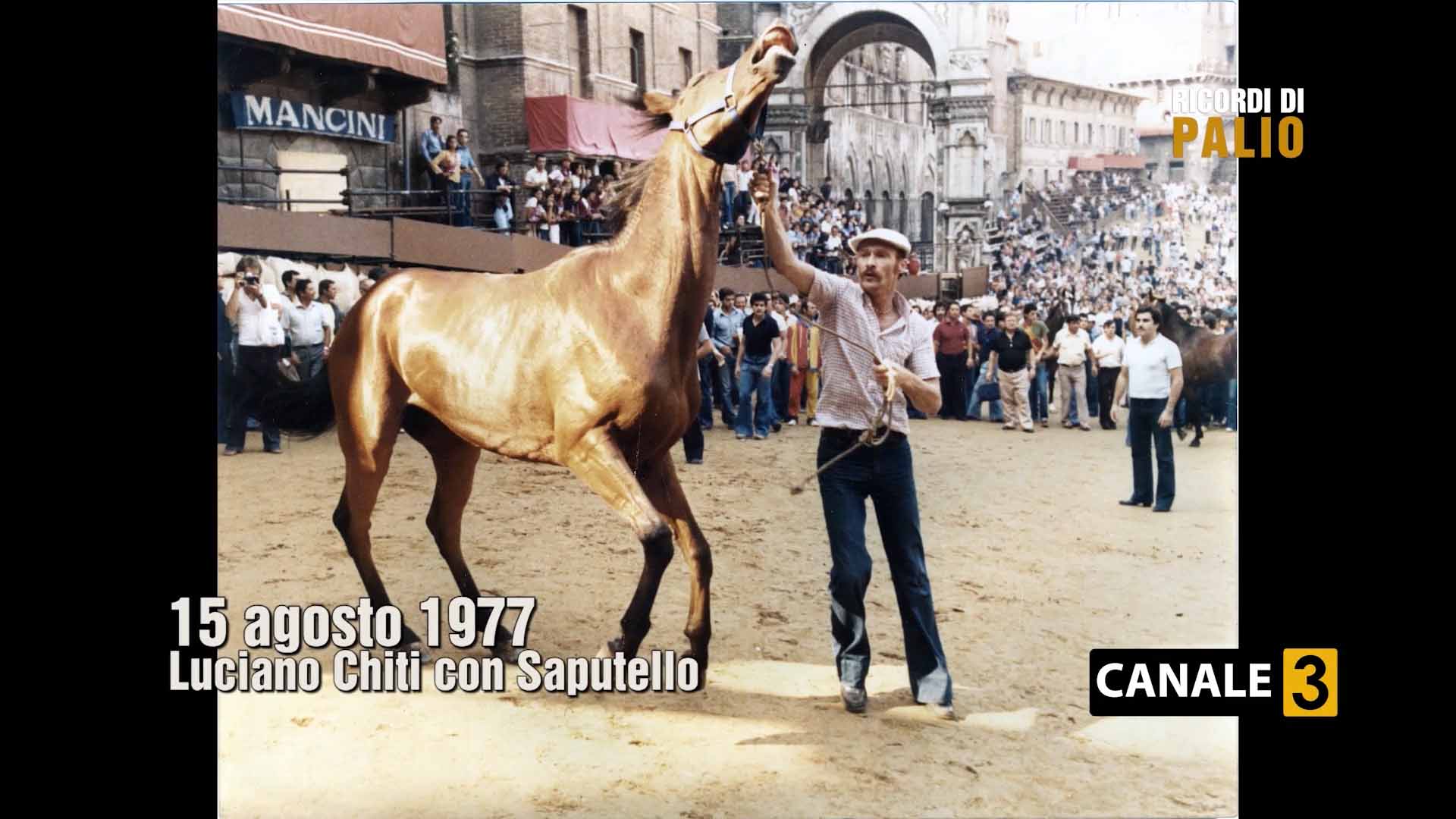 Palio di Siena del 16 agosto 1977 Luciano Chiti con Saputello