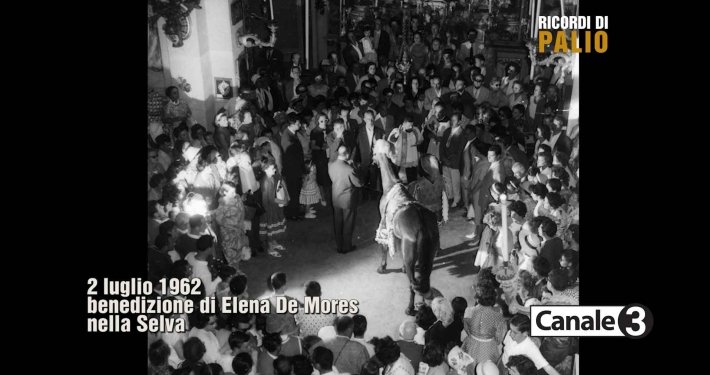 La Benedizione del Cavallo nella Contrada della Selva al Palio del 2 luglio 1962 vinto da Mezzetto su Elena de Mores