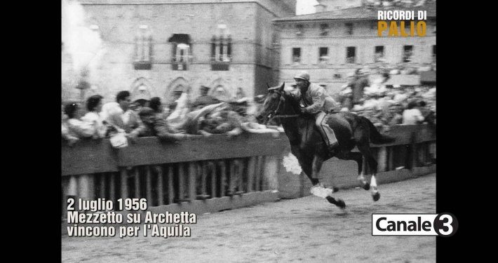 Il Palio del 2 luglio 1956 il Palio di Gronchi vinto dalla Nobile Contrada dell'Aquila con Mezzetto su Archetta