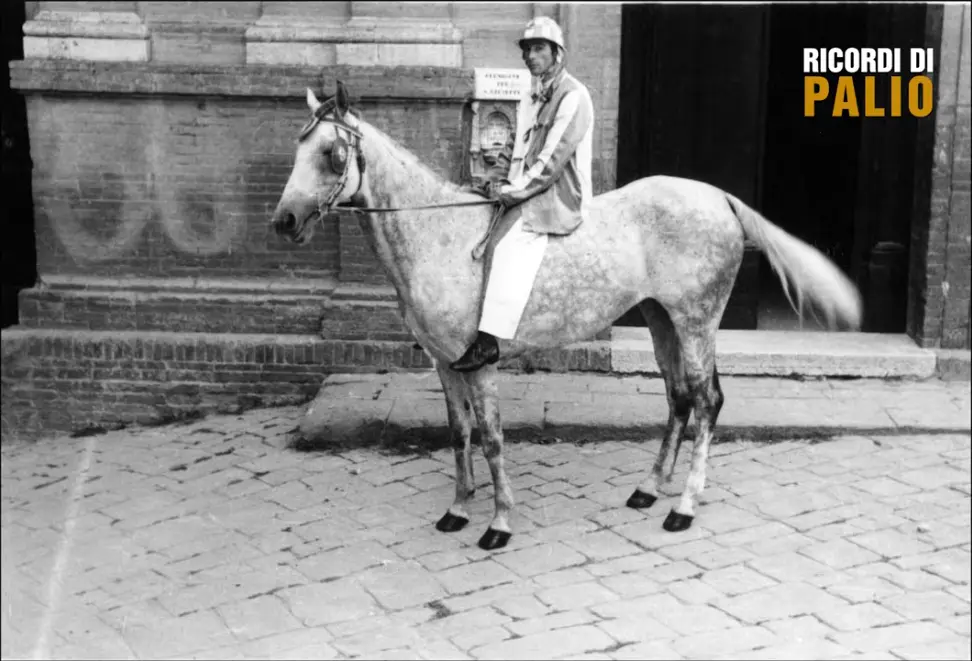 Giorgio Terni detto Vittorino su Gaudenzia dopo la vittoria del Palio di Siena del 2 luglio 1954 per la Contrada dell'Onda, in posa davanti all'oratorio di Via Sant'Agata.